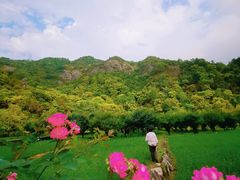 -雁荡山风景名胜区