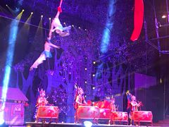 -灵玲国际马戏城