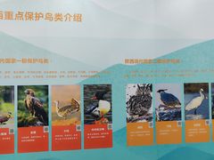-陕西科学技术馆