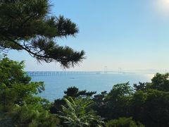 -星海湾跨海大桥