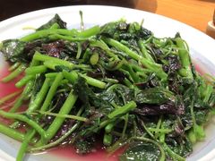 -鸽子窝(青塔店)