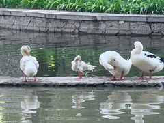 -西安市长乐公园