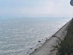 -贡湖湾湿地公园