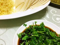 -丁老爷子苏香圆