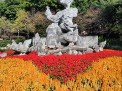 -金鸡山公园