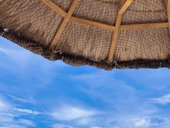 -墨脱石锅椰子鸡•香草鸭•东山羊(大东海店)