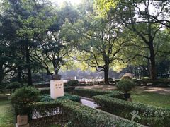 -上海交通大学医学院附属瑞金医院(总院)