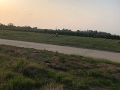 -汉长安城未央宫国家考古遗址公园