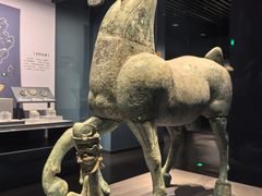 -广西壮族自治区博物馆