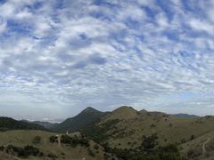 -大姆山草场