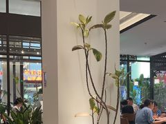 -西堤牛排(南京龙江店)