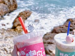 -南澳岛打卡果汁冰公司