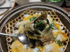 九层塔焗龙胆石斑-林四喜·闽南传家菜(鼓浪屿店)