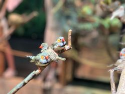 -Zoolung Zoolung动物主题公园(海信广场店)