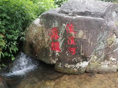 -广州市流溪河国家森林公园