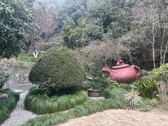 -十八棵（老龙井）御茶园(老龙井店)