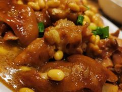 -鸽子窝(青塔店)