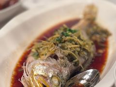 -上海明天广场JW万豪酒店