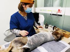 -仁普宠物诊所(住友昌盛新苑店)