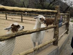 -西安秦岭野生动物园