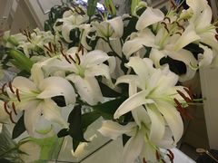 -白鹭湾湿地公园