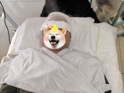 -珍贞佰俪·针清祛痘印敏感管理