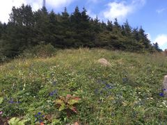 -白草畔自然风景区