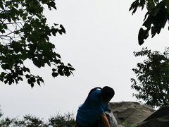 -阳台山自然风景区