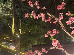 -巴倒烫陆派火锅山庄(南山总店)