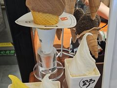 -野人先生Gelato(上海长宁龙之梦店)