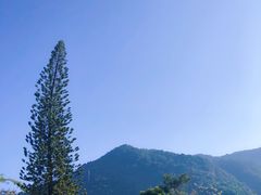 -广州市流溪河国家森林公园