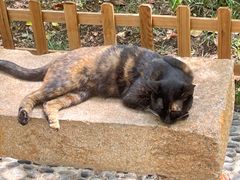 -西园戒幢律寺