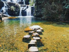 -鼎湖山风景区