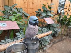 -南宫五洲植物乐园