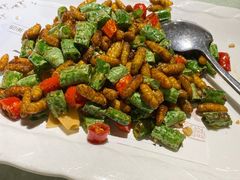 -陶缘一号·四季缘·老字号顺德菜·户外婚礼家宴(西滘店)
