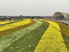 -中国天府农业博览园