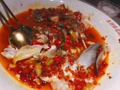 -坛宗剁椒鱼头(河西王府井店)