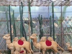 -长廊欢乐园