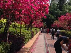 iphone_upload_pic-铁路文化公园