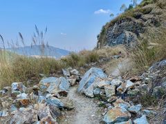 -黄埔油麻山森林公园