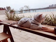 -星巴克(成都科学城店)