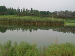 -两河城市森林公园