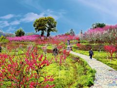 -常德桃花源景区