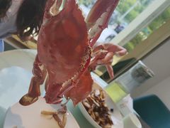 -映像威海·海鲜味道(经区店)