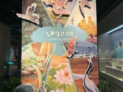-台州博物馆