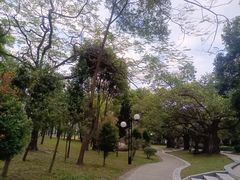 -荔香公园