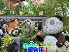 -杭州动物园