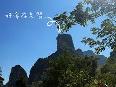-明仕田园