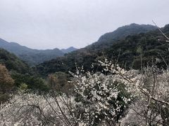 -广州市石门国家森林公园