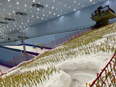 -广州热雪奇迹